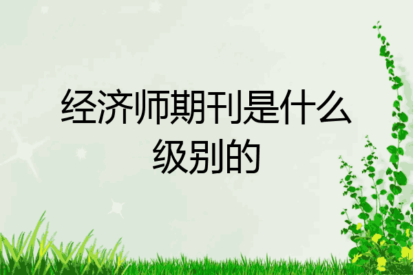 经济师期刊是什么级别的