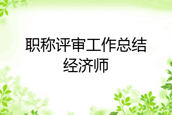 职称评审工作总结经济师