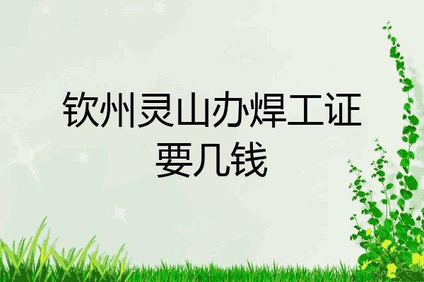 钦州灵山办焊工证要几钱