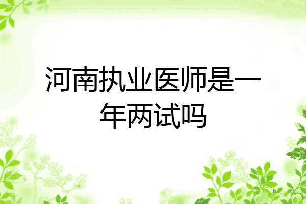河南执业医师是一年两试吗