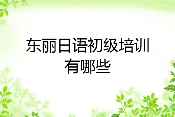 东丽日语初级培训有哪些