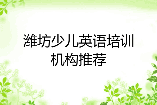 潍坊少儿英语培训机构推荐