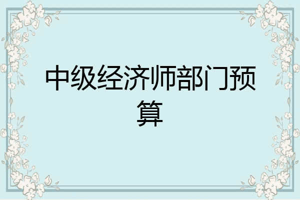 中级经济师部门预算