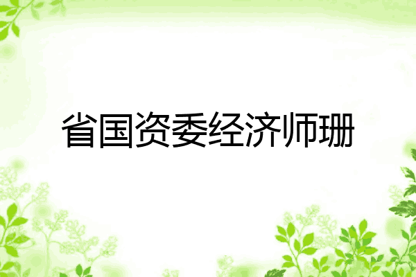 省国资委经济师珊