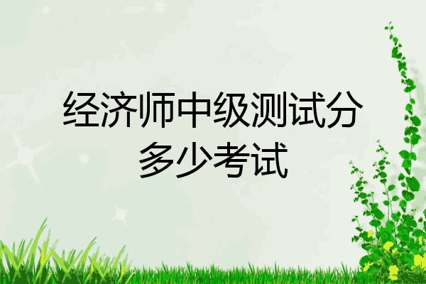 经济师中级测试分多少考试