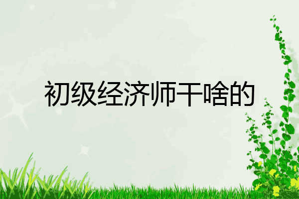 初级经济师干啥的