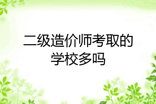 二级造价师考取的学校多吗