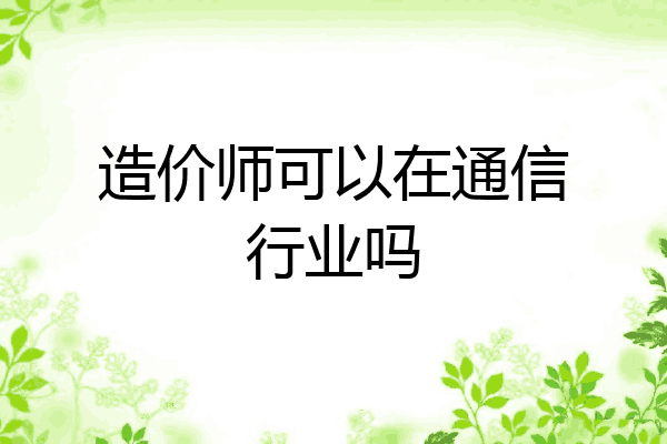 造价师可以在通信行业吗