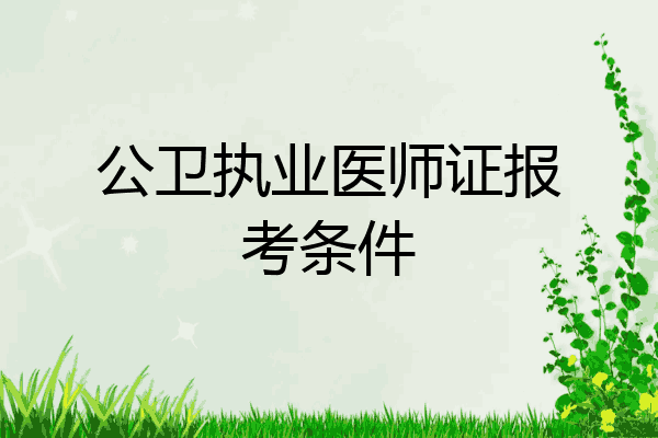 公卫执业医师证报考条件