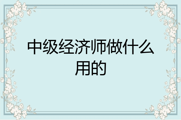 中级经济师做什么用的