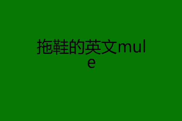 拖鞋的英文mule
