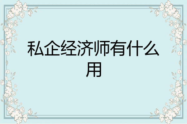 私企经济师有什么用