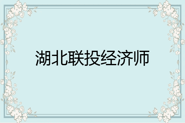 湖北联投经济师
