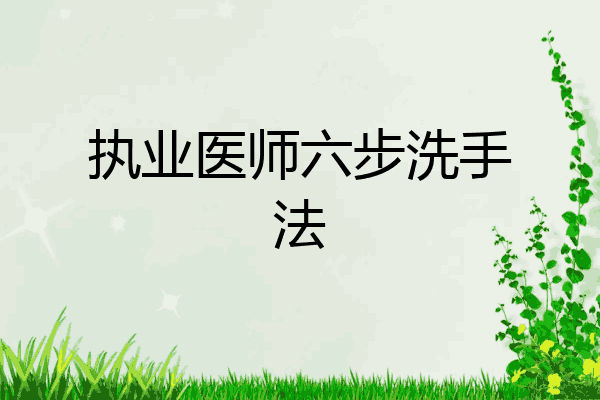 执业医师六步洗手法