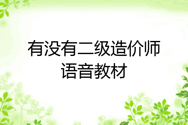 有没有二级造价师语音教材