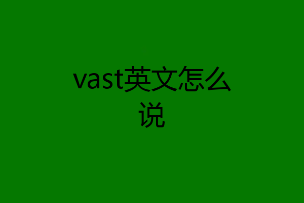 vast英文怎么说