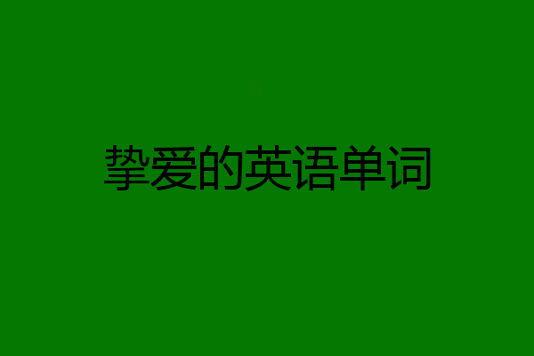 挚爱的英语单词