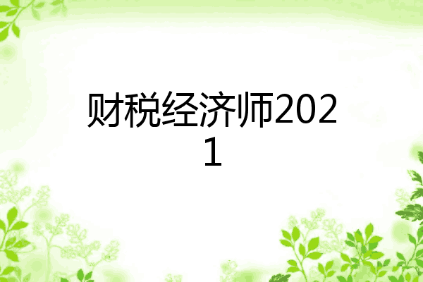 财税经济师2021