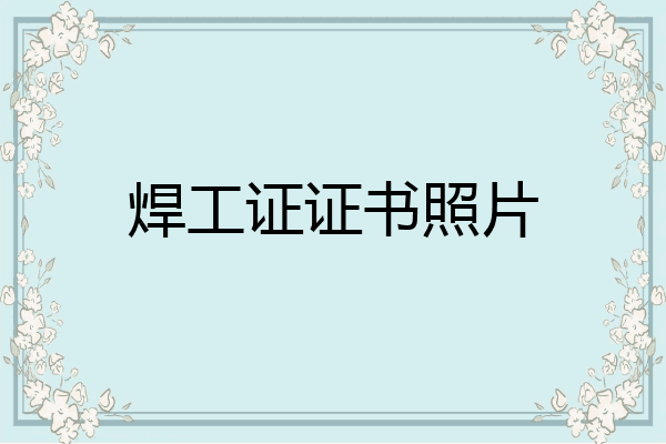 焊工证证书照片