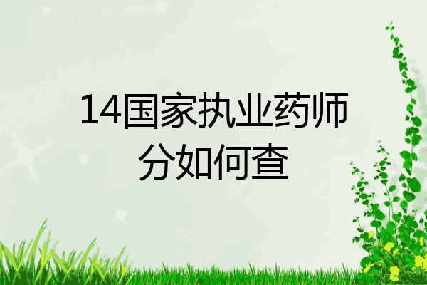 14国家执业药师分如何查