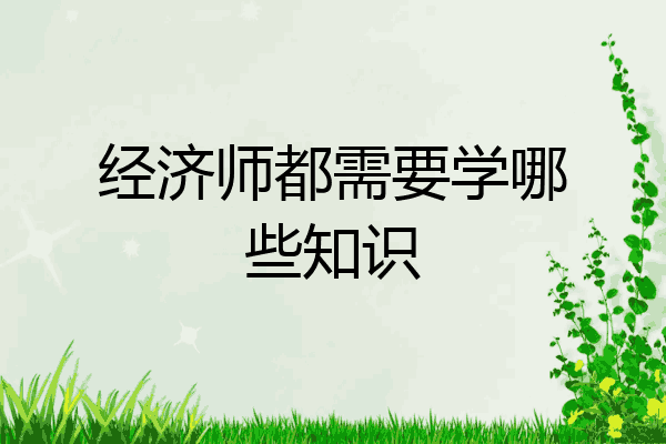 经济师都需要学哪些知识
