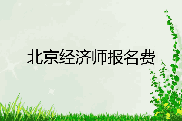 北京经济师报名费