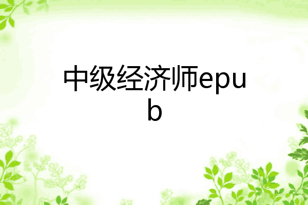 中级经济师epub