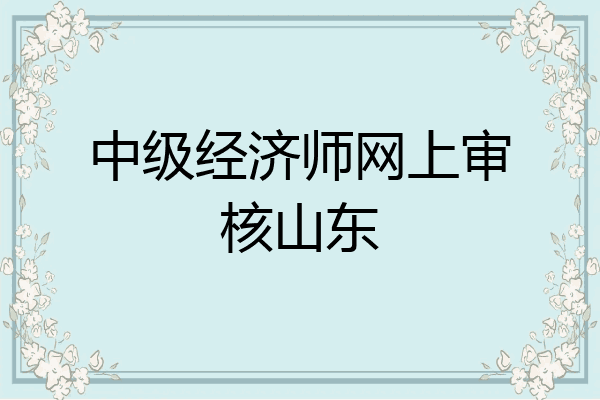 中级经济师网上审核山东