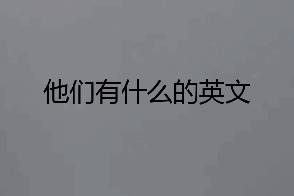 他们有什么的英文