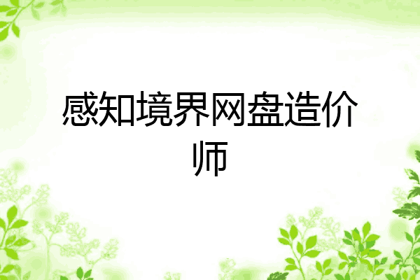 感知境界网盘造价师