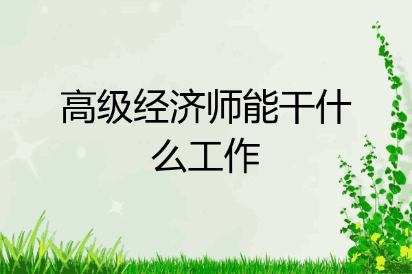高级经济师能干什么工作
