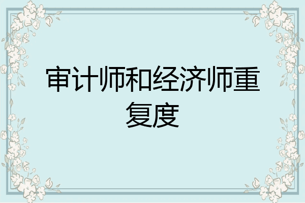 审计师和经济师重复度