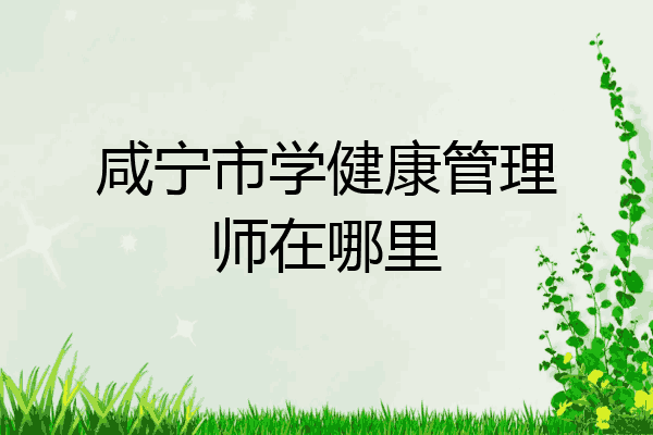 咸宁市学健康管理师在哪里