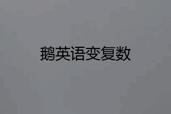 鹅英语变复数