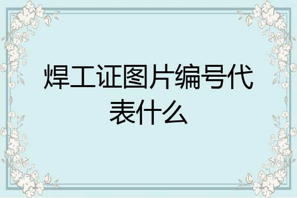 焊工证图片编号代表什么