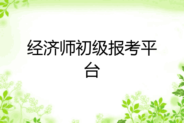 经济师初级报考平台