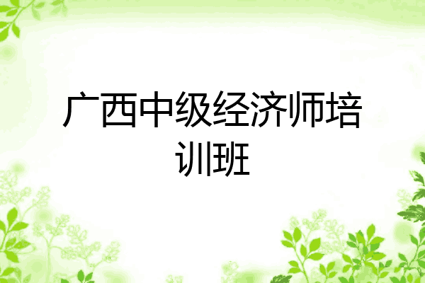 广西中级经济师培训班
