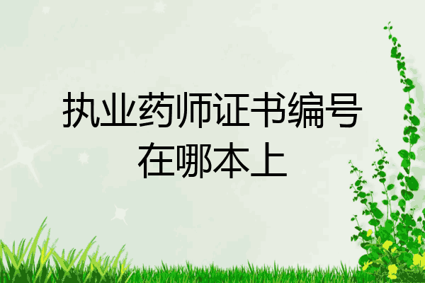 执业药师证书编号在哪本上