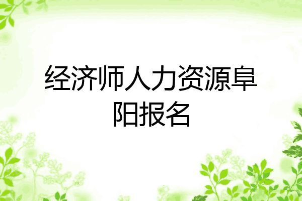 经济师人力资源阜阳报名
