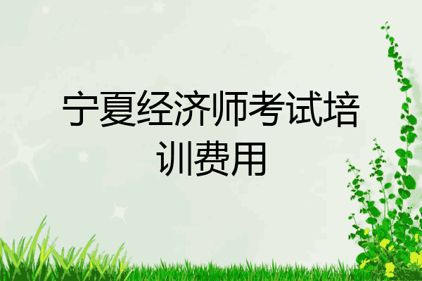 宁夏经济师考试培训费用