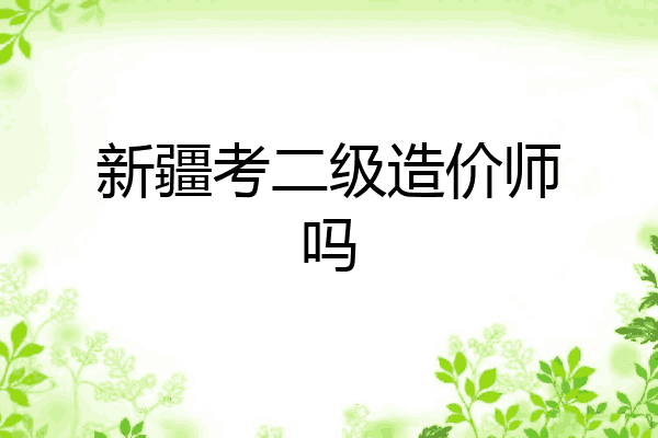 新疆考二级造价师吗
