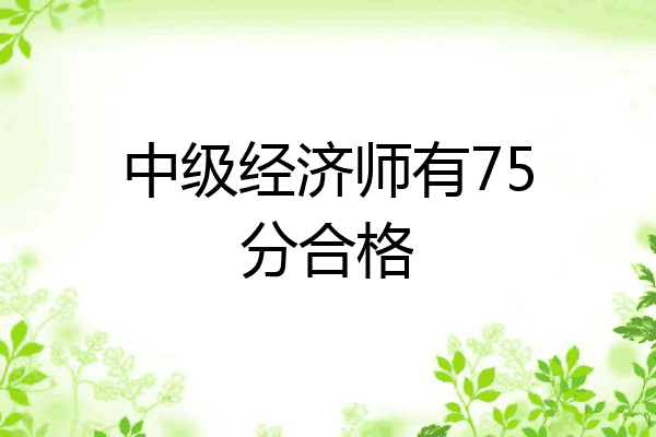 中级经济师有75分合格