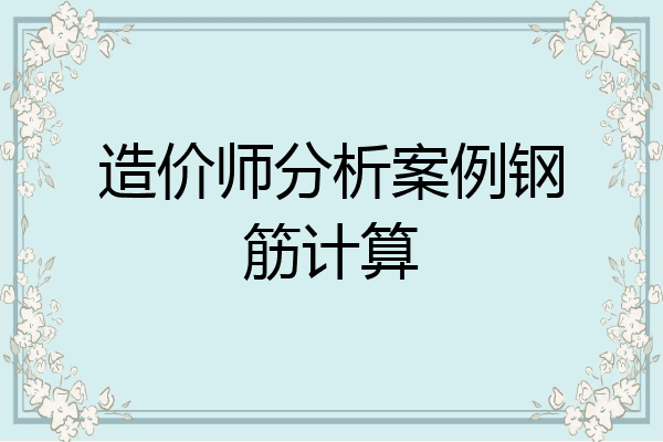 造价师分析案例钢筋计算
