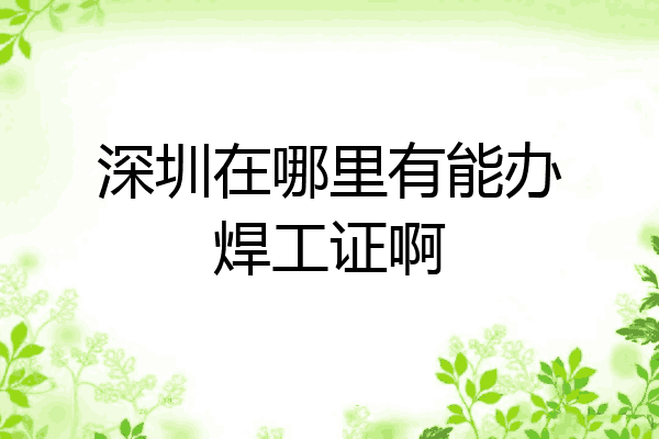深圳在哪里有能办焊工证啊