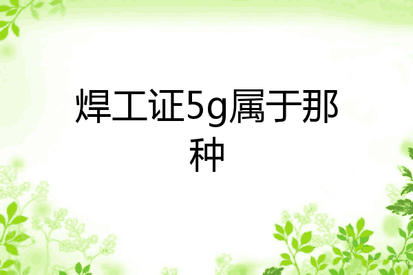 焊工证5g属于那种