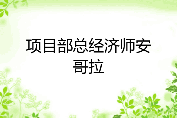 项目部总经济师安哥拉