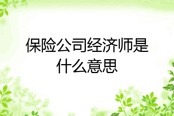 保险公司经济师是什么意思