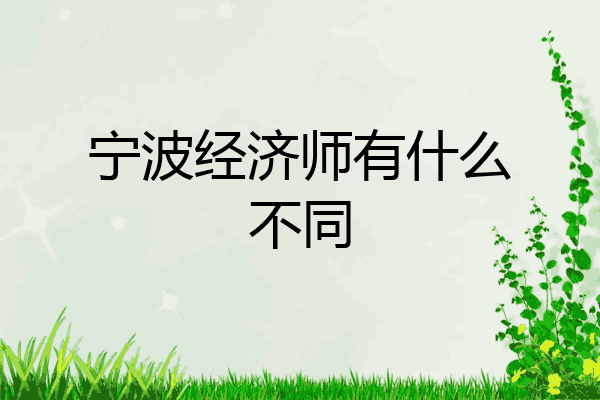 宁波经济师有什么不同