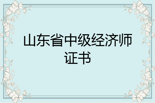 山东省中级经济师证书
