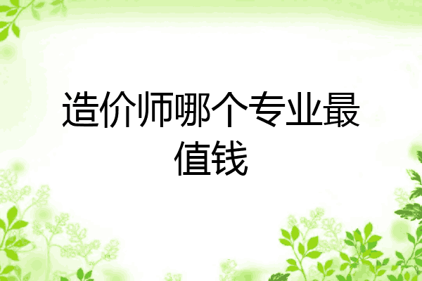 造价师哪个专业最值钱